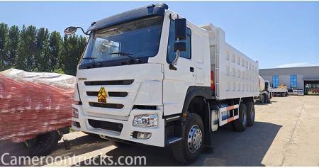 LHD 6x4 Second Hand Howo Dump Truck will Send to Cameroon