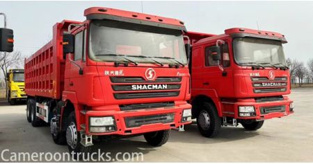 LHD Used Shacman F3000 Dump Truck 8x4 will Send to Cameroon