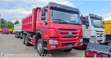  6x4 Used Howo Dump Truck 2023 will Send to Cameroon