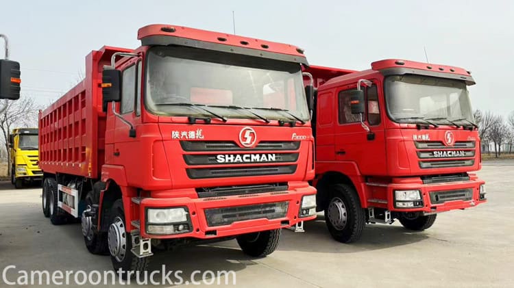 LHD Used Shacman F3000 Dump Truck 8x4 for Sale in Cameroon