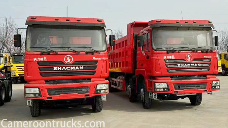 LHD Used Shacman F3000 Dump Truck 8x4 for Sale in Cameroon