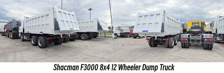 Shacman F3000 8x4 12 Wheeler Dump Truck Price in Cameroon