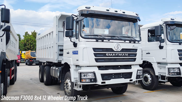 Shacman F3000 8x4 12 Wheeler Dump Truck Price in Cameroon