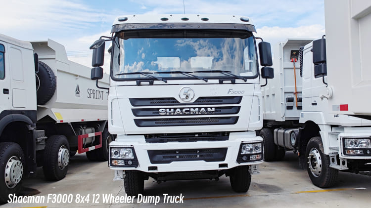 Shacman F3000 8x4 12 Wheeler Dump Truck Price in Cameroon
